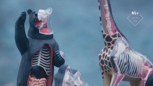 THREE Fashion Film